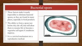 does autoclaving kill bacterial spores|bacterial spore elimination.